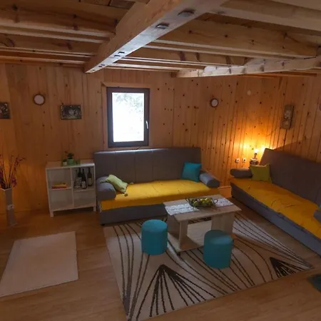 Brvnara Vidikovac Dom wakacyjny *