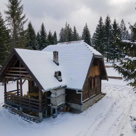 Brvnara Vidikovac Dom wakacyjny *